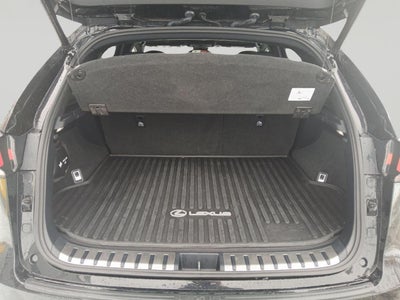 2020 Lexus NX NX 300 F SPORT