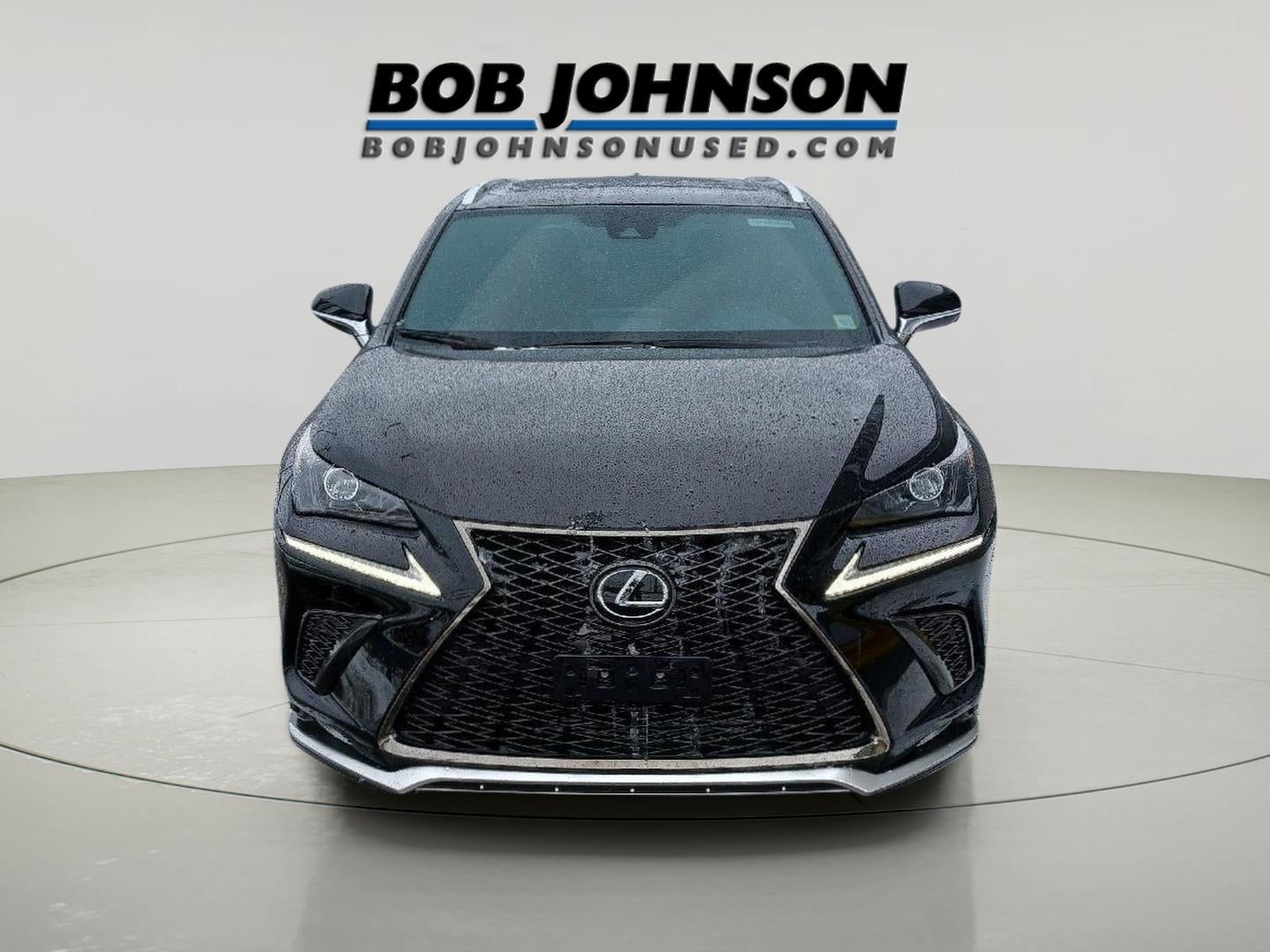 2020 Lexus NX NX 300 F SPORT