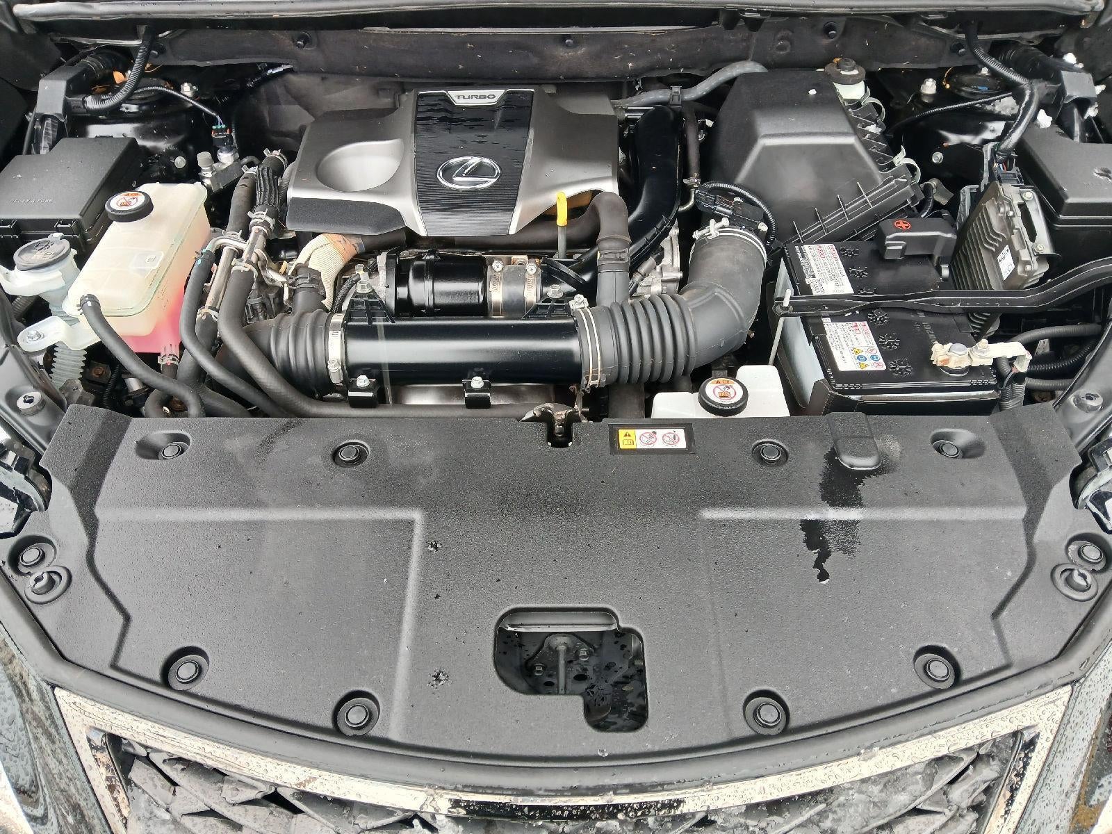 2020 Lexus NX NX 300 F SPORT