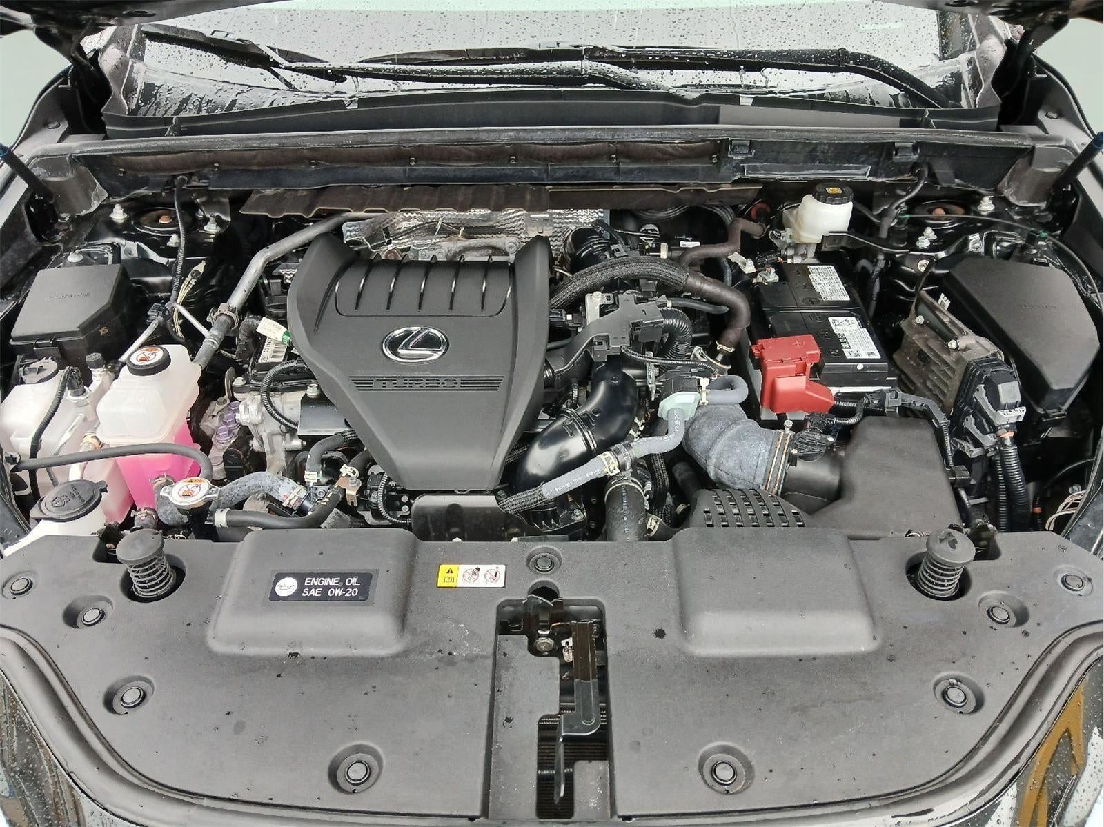2024 Lexus NX NX 350 Premium