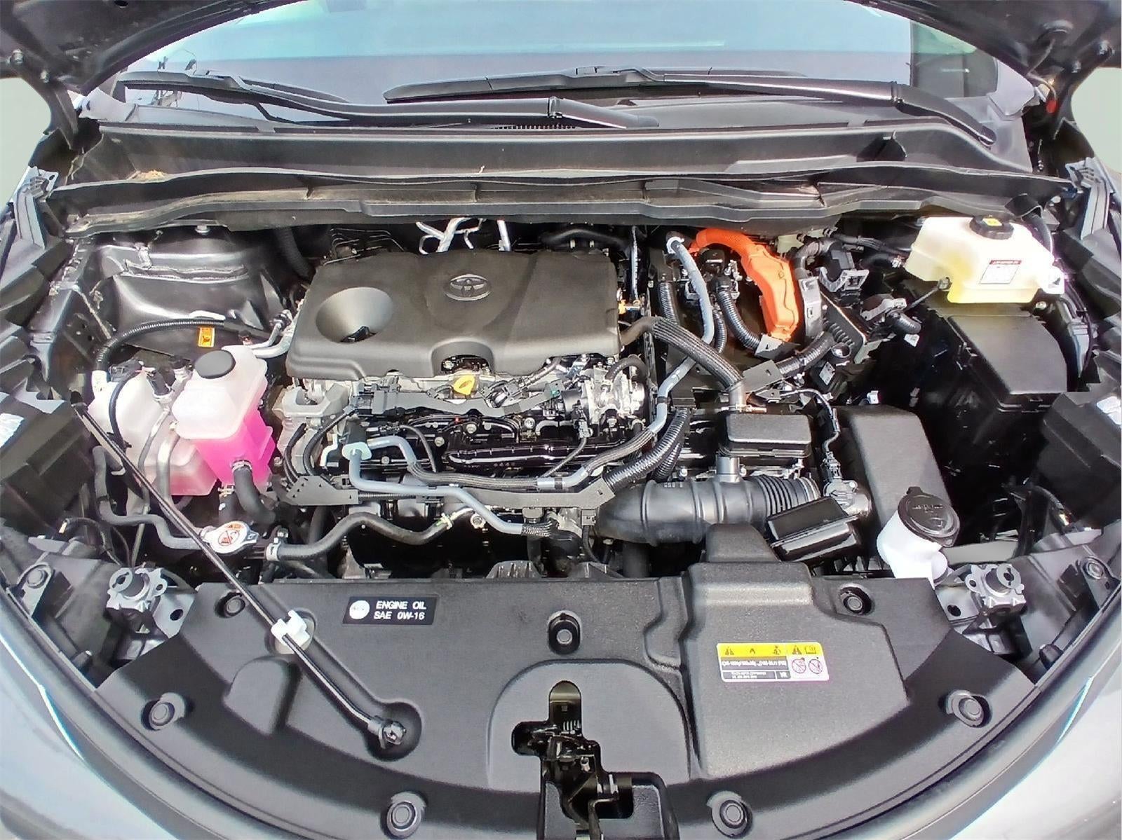 2025 Toyota Sienna LE 8-Passenger