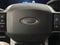 2023 Ford F-250 Platinum