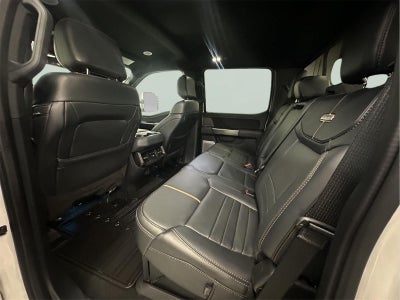 2023 Ford F-250 Platinum