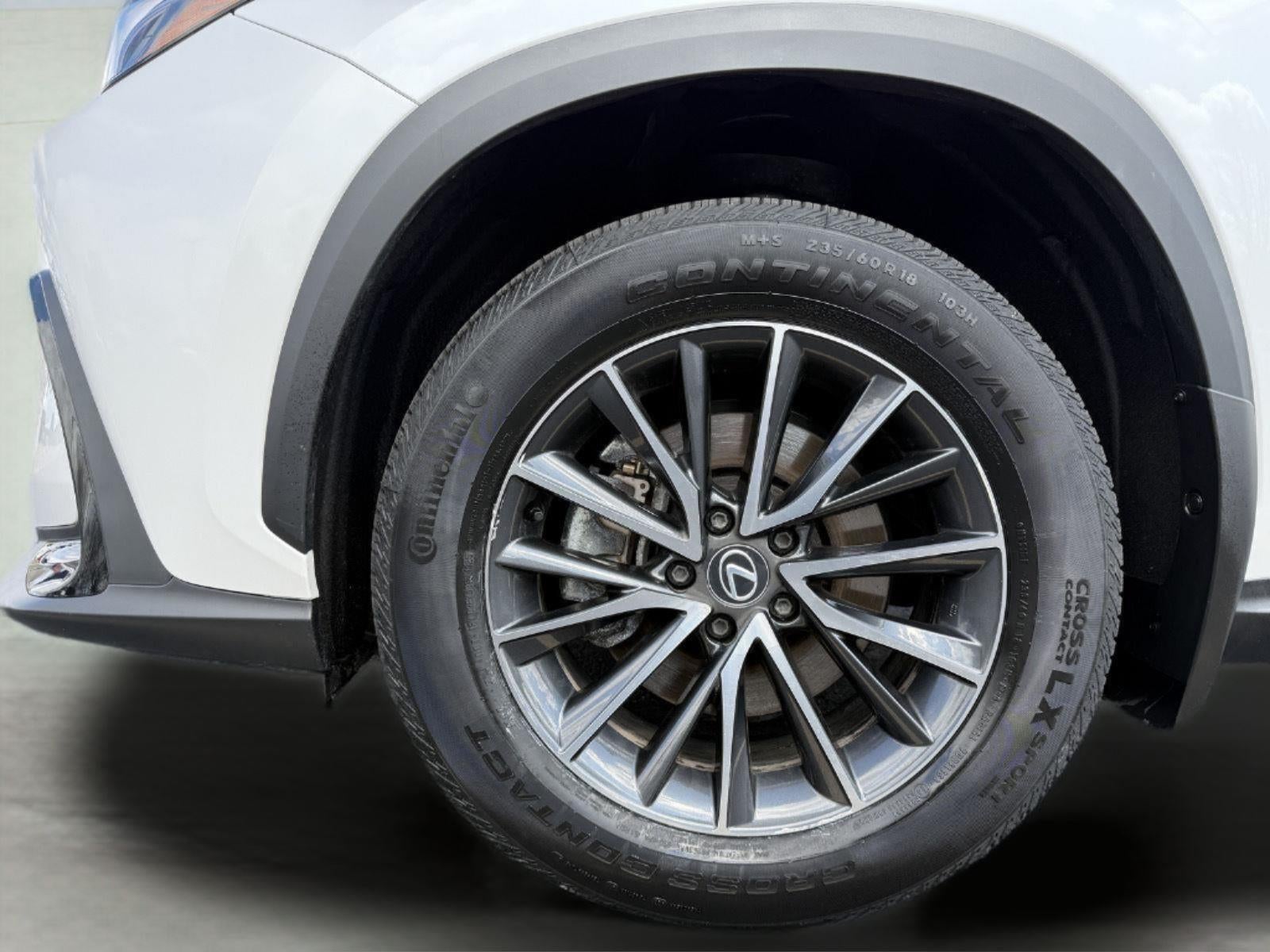 2024 Lexus NX NX 350