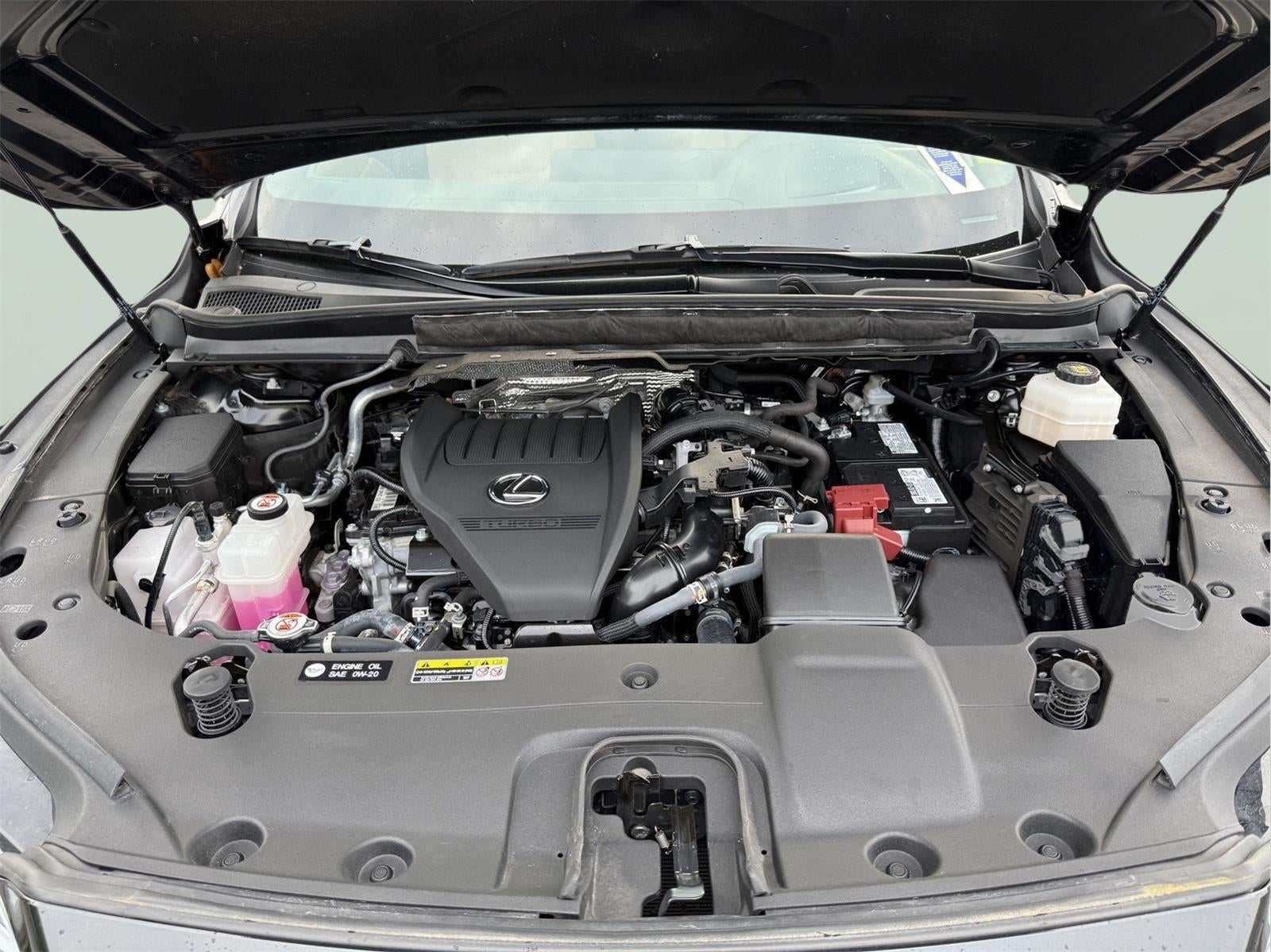 2024 Lexus RX 350 RX 350 Premium Plus