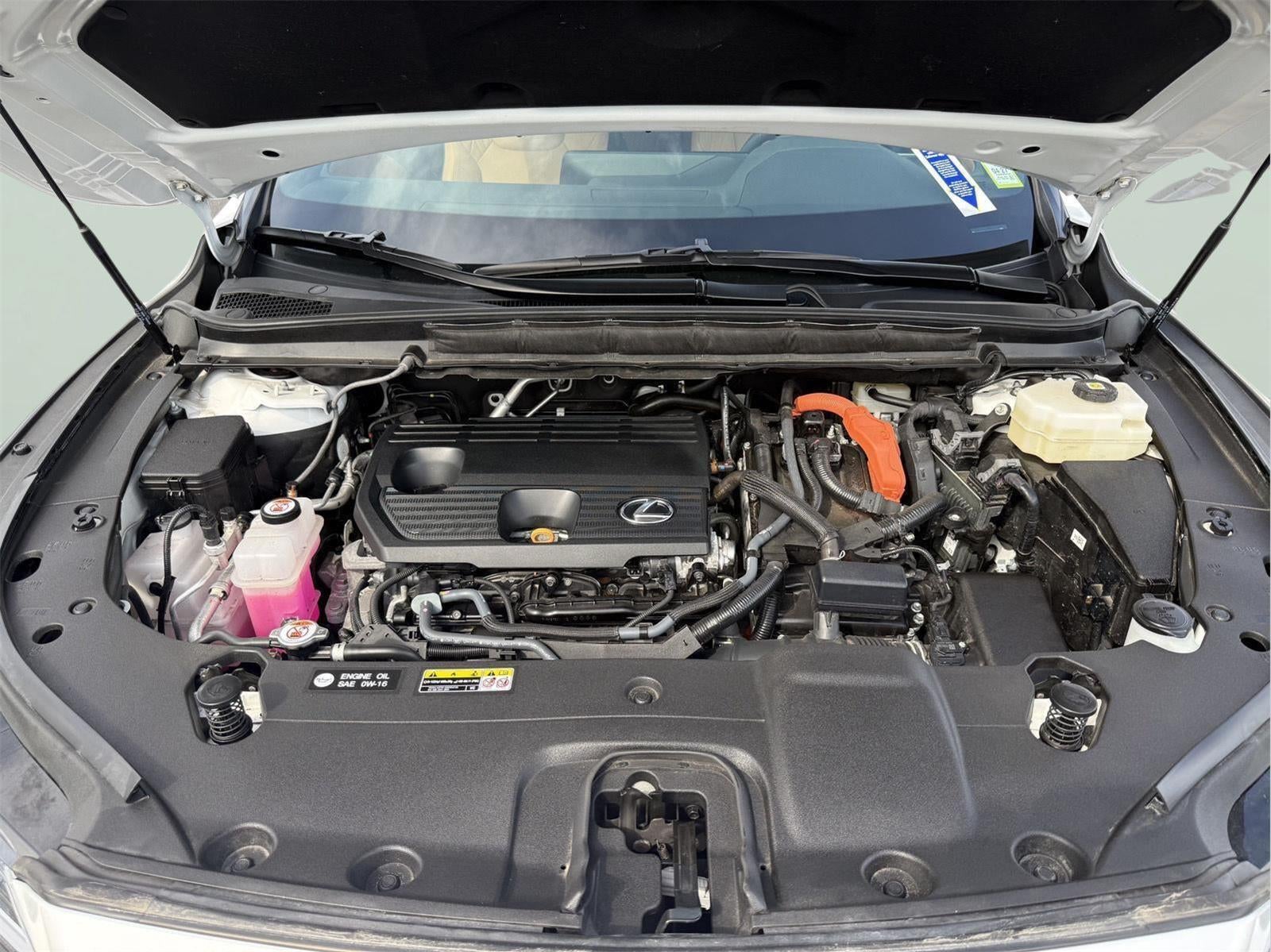 2025 Lexus RX 350h Premium