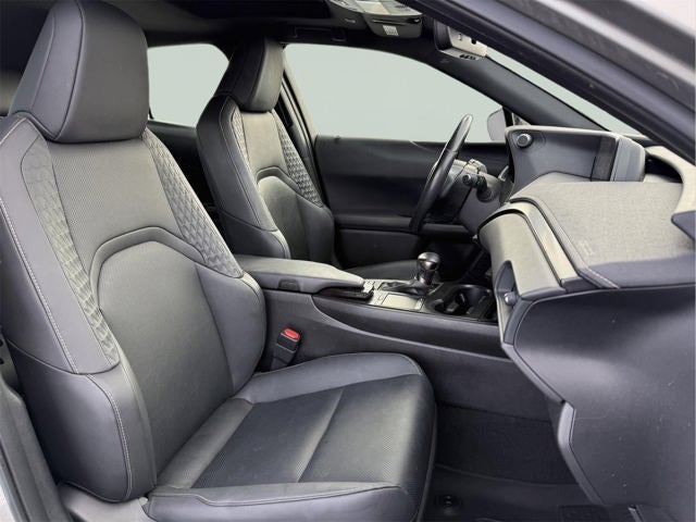 2021 Lexus UX 250h 250h