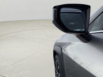 2021 Lexus UX 250h 250h