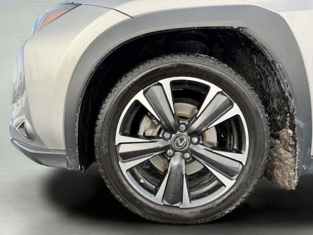 2021 Lexus UX 250h 250h