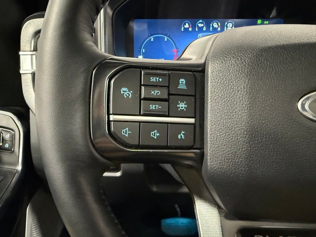 2025 Ford F-250SD Platinum