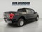 2023 Ford F-150 XLT 3.5L V6 EcoBoost