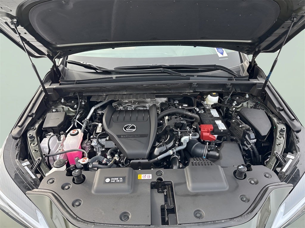 2025 Lexus NX 350 Base L/Certified